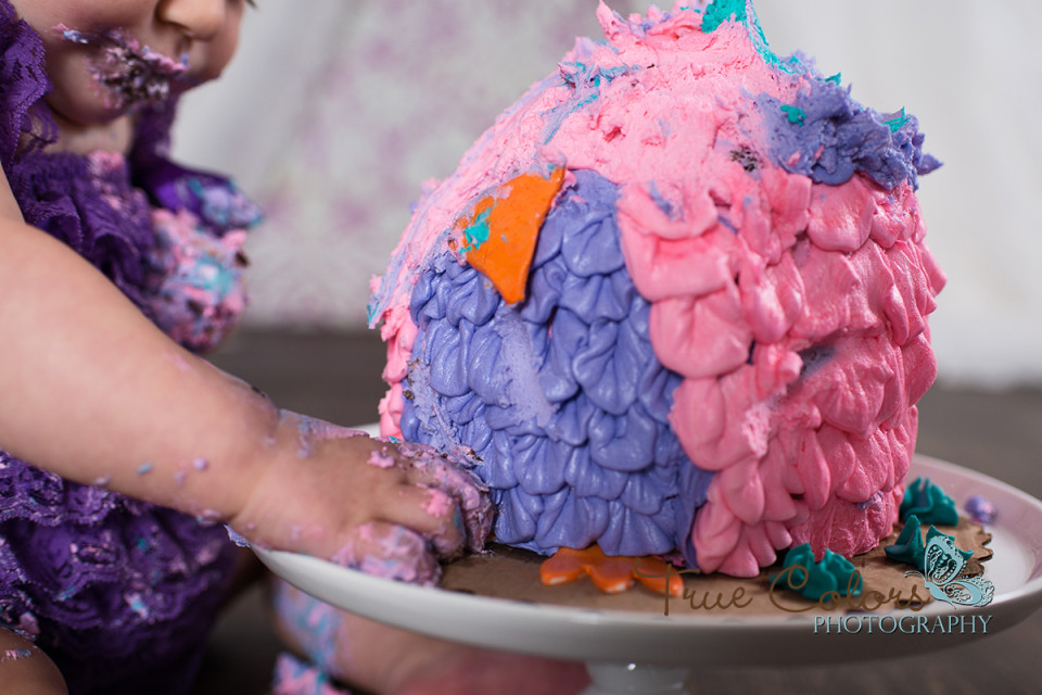 1st birthday cake smash photographer Abbotsford Fraser Valley