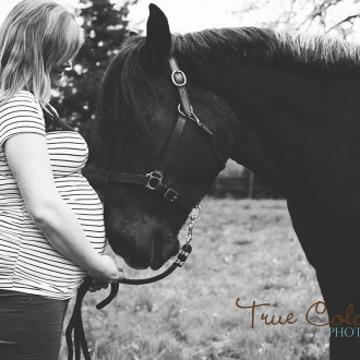 Horse maternity
