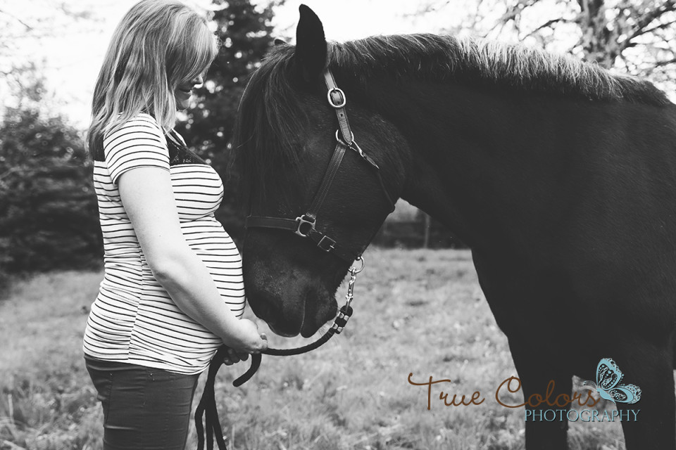 Horse maternity