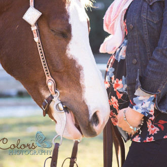 Horse maternity