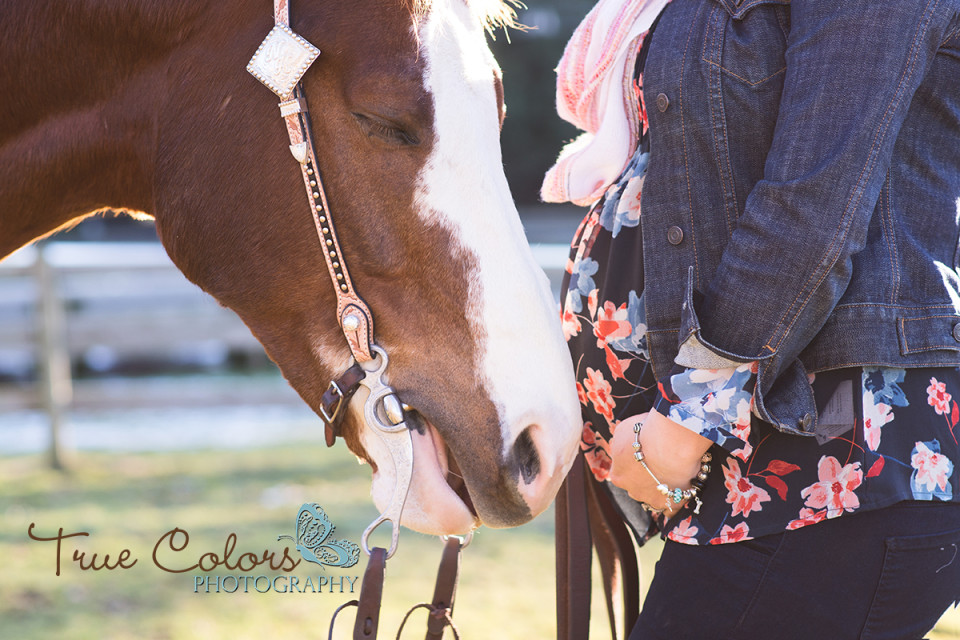 Horse maternity